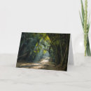 Buscar filas tarjetas Amanecer