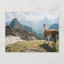 Buscar civilizaciones tarjetas Machu picchu