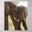 Buscar zimbabwe posters Naturaleza