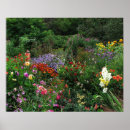 Buscar estacional arte Floral
