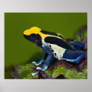 Buscar ambiente posters Horizontal