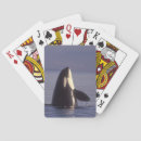 Buscar sonidos barajas de cartas Sonido de puget