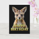 Buscar joey tarjetas Animal