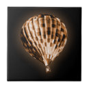 Buscar globos azulejos Para todos