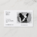 Buscar boston tarjetas de visita Canino