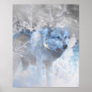 Buscar de lobos posters Lobo gris