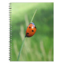 Buscar mariquita libretas Animal