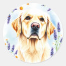 Buscar golden retriever pegatinas Floral