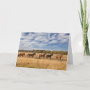 Buscar tet tarjetas Caballo