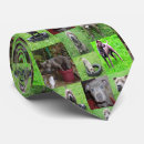 Buscar bull terrier corbatas Animal