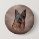 Buscar alemanes chapas Canino