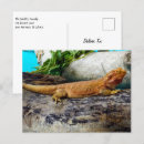 Buscar amante del lagarto postales Reptil