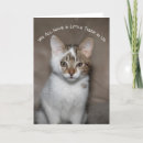 Buscar kittie tarjetas General y unisex