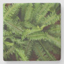 Buscar hierro posavasos Textura