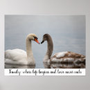 Buscar cisnes posters General y unisex