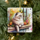 Buscar gato persa adornos Adorable