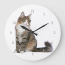 Buscar noruega relojes de pared Noruego