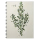 Buscar herbario cuadernos Flores