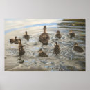 Buscar patos posters Familia