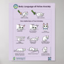 Buscar clínica veterinaria posters Hospital