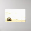 Buscar solo lienzos Océano