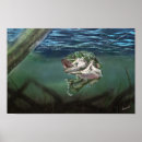 Buscar señuelo posters Agua