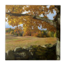 Buscar autumn azulejos 1 º caída