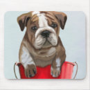 Buscar cubos electronica Cachorro de amor