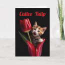 Buscar calicó tarjetas Para ella