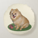 Buscar pomeranian cojines Lindo