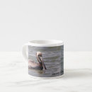 Buscar pelican tazas Animal
