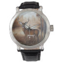 Buscar whitetail Fauna