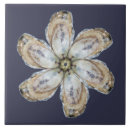 Buscar moluscos azulejos Marino