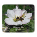 Buscar manzana tablas cortar Madre