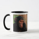 Buscar medio ambiente tazas Bosque