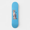 Buscar ante cuero tablas de skate General y unisex