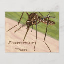 Buscar mosquito postales Verano