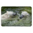 Buscar los baños tarjetas 6 º pesadilla