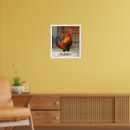 Buscar gallo colorido posters Animales