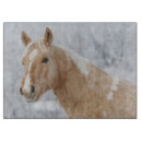 Buscar palamina Equino