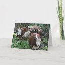 Buscar vaca feliz tarjetas Para él