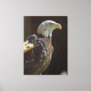 Buscar águila blanca posters Rapaz