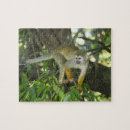 Buscar el amazonas puzzles Bosque