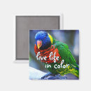 Buscar de la pluma imanes Fotografía