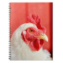 Buscar pollo cuadernos Granero