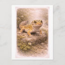 Buscar vintage leopard postales Animal