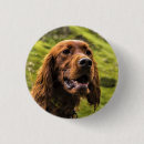 Buscar hombre del perro pins General y unisex