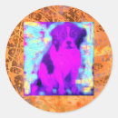 Buscar beagle pegatinas Lindo