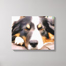 Buscar border collie arte Animales