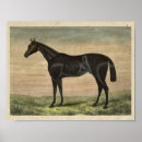 Buscar derby posters Equino